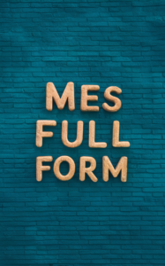 MES Full Form